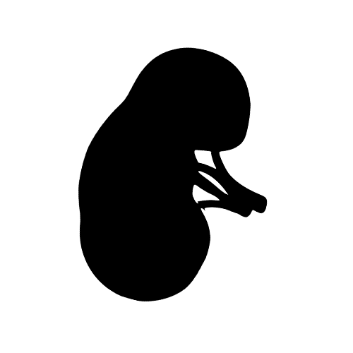 a kidney affected by the drug valsartan
